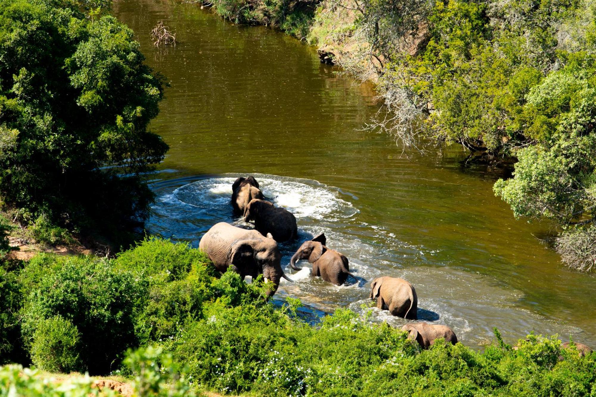 Hopewell Private Game Reserve Buyskloof Exterior foto